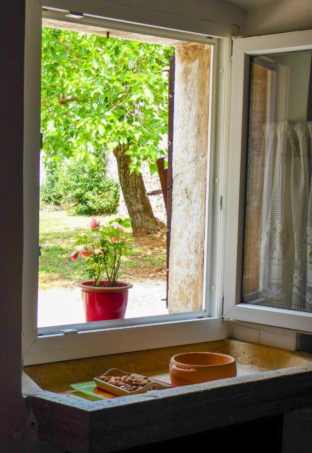 Vila Casa Istriana Nona Pina Kaštelir Exteriér fotografie